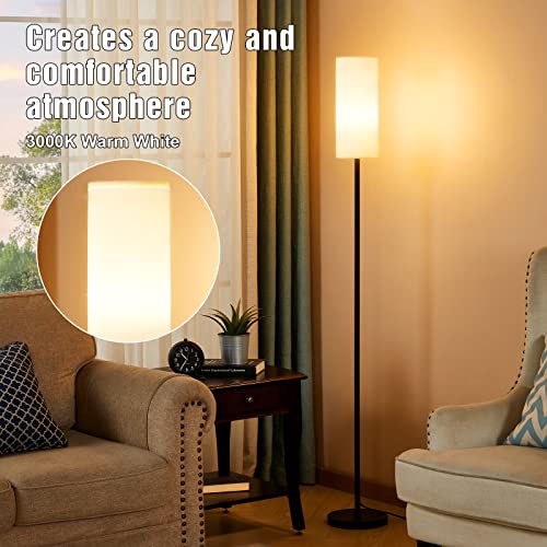 Ambimall Floor Lamps for Living Room, Modern Floor Lamp with Remote Control and Stepless Dimmable Colors Temperature & Brightness, Standing Lamps for Living Room Bedroom Office, 9W Bulb Included