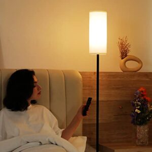 Ambimall Floor Lamps for Living Room, Modern Floor Lamp with Remote Control and Stepless Dimmable Colors Temperature & Brightness, Standing Lamps for Living Room Bedroom Office, 9W Bulb Included