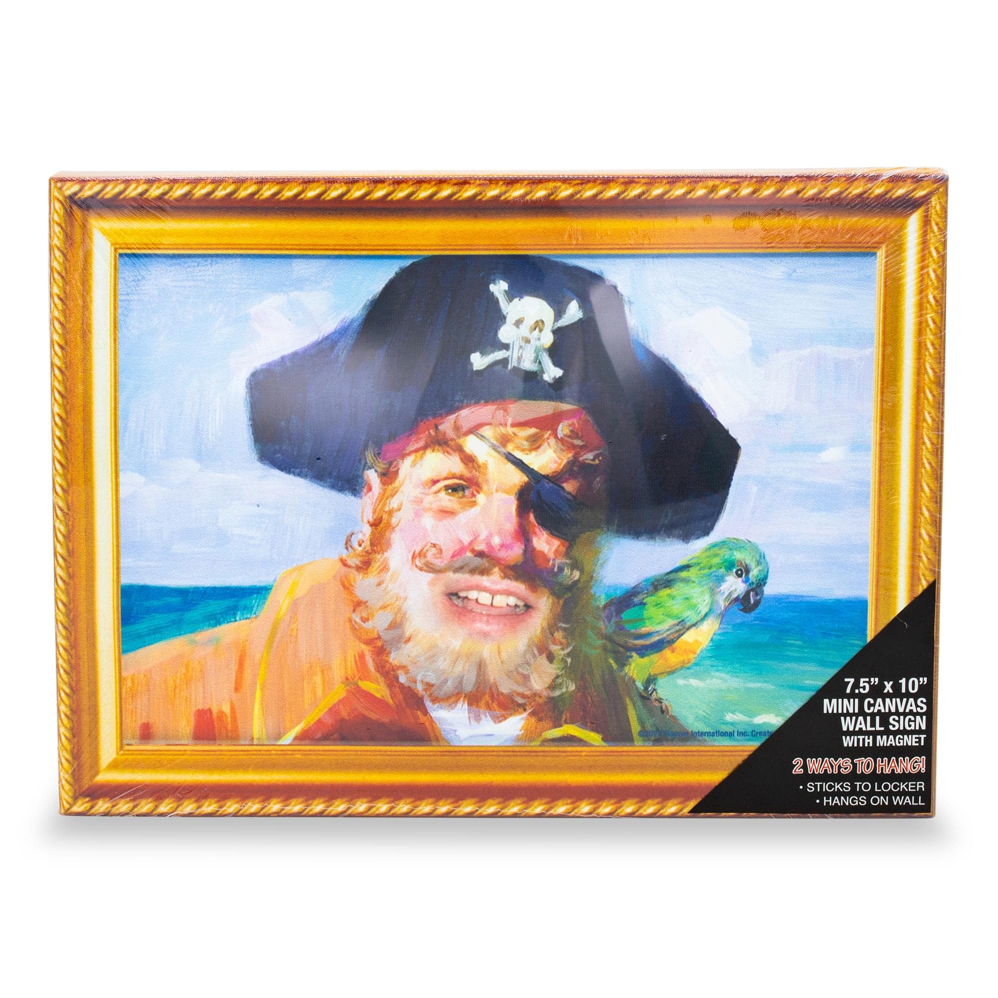 SpongeBob SquarePants Captain Painty the Pirate Canvas Wall Art Print Hanging Sign