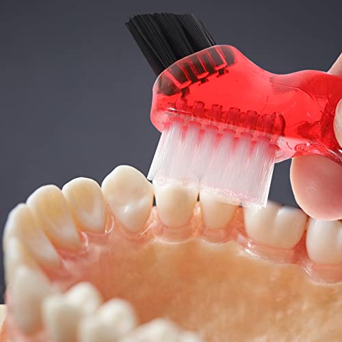 Milisten Toothbrush 4Pcs Mini Dual Head BrushesDouble-Head Denture Brushes False Teeth Brush Cleaning Brushes Personal Small Brushes Clean Toothbrush(7.5X3.5X2.5CM) Denture Brush Toothbrush