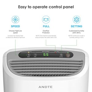 ANDTE 2500 Sq.Ft Dehumidifiers for Large Room and Home Basements, 31 Pints Dehumidifiers with Auto or Manual Drainage, 0.528 Gallon Water Tank with Drain Hose, Auto Defrost, Dry Clothes Function, 24H Timer