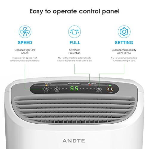 ANDTE 2500 Sq.Ft Dehumidifiers for Large Room and Home Basements, 31 Pints Dehumidifiers with Auto or Manual Drainage, 0.528 Gallon Water Tank with Drain Hose, Auto Defrost, Dry Clothes Function, 24H Timer