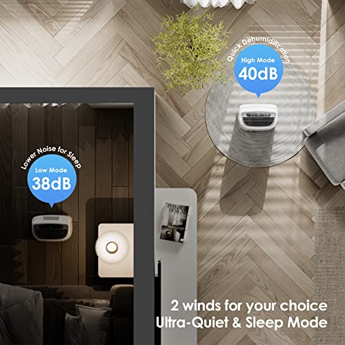 ANDTE 2500 Sq.Ft Dehumidifiers for Large Room and Home Basements, 31 Pints Dehumidifiers with Auto or Manual Drainage, 0.528 Gallon Water Tank with Drain Hose, Auto Defrost, Dry Clothes Function, 24H Timer