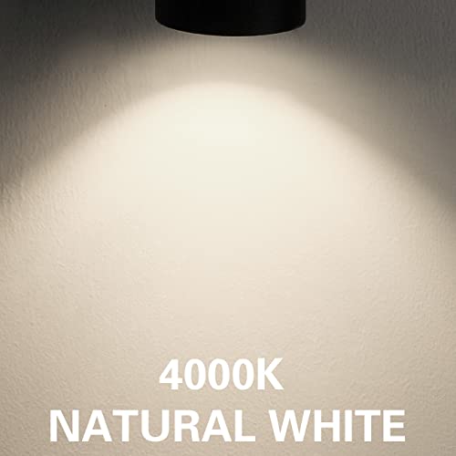 INTWELL 10W H Track Lighting Heads,Dimmable LED Track Light Heads for Accent Retail Artwork,4000K Netural White, Linear Track Light H Type - 120V 24°Angle Halo Type 16Pack (Black)