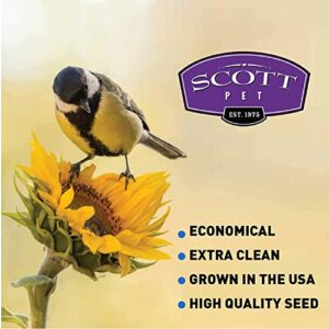 EasyGoProducts Black Oil Sunflower Bird Seed Food – Wild Birds, Cardinals, Squirrels and Much More – 25 Lbs