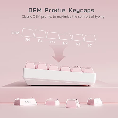 XVX Keycaps - Crystal Jelly Keycaps, Custom Keycaps 113 Keys, Side Printed Keyboard Keycaps OEM Profile Pink Keycaps for 61/68/84/87/98/100 Cherry Gateron MX Mechanical Keyboard