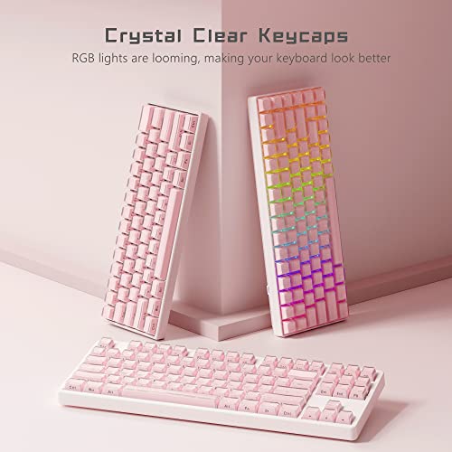 XVX Keycaps - Crystal Jelly Keycaps, Custom Keycaps 113 Keys, Side Printed Keyboard Keycaps OEM Profile Pink Keycaps for 61/68/84/87/98/100 Cherry Gateron MX Mechanical Keyboard