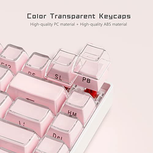 XVX Keycaps - Crystal Jelly Keycaps, Custom Keycaps 113 Keys, Side Printed Keyboard Keycaps OEM Profile Pink Keycaps for 61/68/84/87/98/100 Cherry Gateron MX Mechanical Keyboard