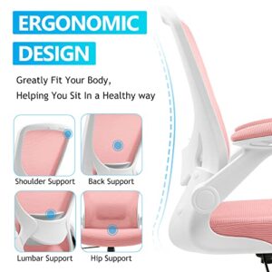 KERDOM Ergonomic Office Chair, Breathable Mesh Desk Chair, Lumbar Support Computer Chair with Wheels and Flip-up Arms, Swivel Task Chair BIFMA Passed, Adjustable Height Home Gaming Chair