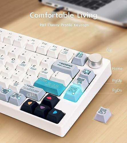 GK GAMAKAY TK75 75% Mute Mechanical Keyboard with Knob Control, Hot Swap RGB Bluetooth 5.0/2.4GHz Wireless/USB-C Wired PBT Cherry Profile Keycaps Silent Gaming Keyboard (GamaKay Pegasus Switch)