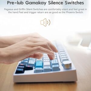 GK GAMAKAY TK75 75% Mute Mechanical Keyboard with Knob Control, Hot Swap RGB Bluetooth 5.0/2.4GHz Wireless/USB-C Wired PBT Cherry Profile Keycaps Silent Gaming Keyboard (GamaKay Pegasus Switch)