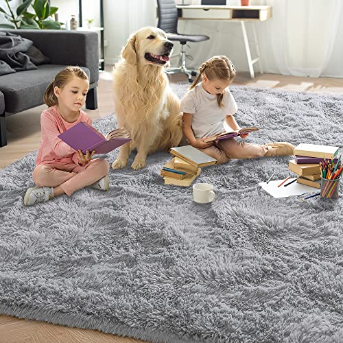 Foxmas Grey Bedroom Rug, Bedside Area Rugs for Bedroom, Fluffy Area Rug for Kids Room, Non Slip Floor Rugs for Bedroom, Washable Area Rugs Plush Fluffy Furry Fur Rugs, 3x5 Feet