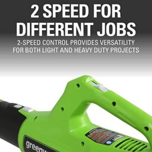 Greenworks 24V 12-Inch Cordless String Trimmer/Edger and Leaf Blower Combo Kit + 3 Bonus Spools, 2.0Ah Battery and Charger Included