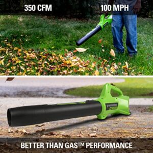 Greenworks 24V 12-Inch Cordless String Trimmer/Edger and Leaf Blower Combo Kit + 3 Bonus Spools, 2.0Ah Battery and Charger Included