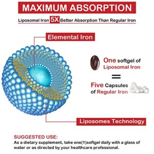 Liposomal Fe Iron Supplement for Women,65 mg Iron Supplements with Folic Acid & Vitamin B12 for Men,Red Blood Cell Production,Energy Support for Adults Iron Deficiency 60 Softgels(1 Bottle)