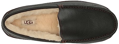 UGG Men's Ascot Discontinued Slipper, Dark Spice, 10