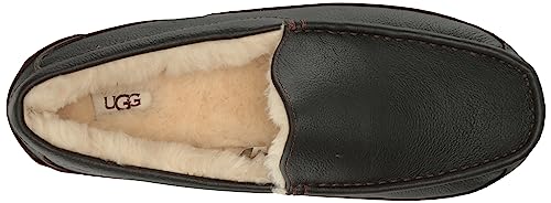 UGG Men's Ascot Discontinued Slipper, Dark Spice, 10