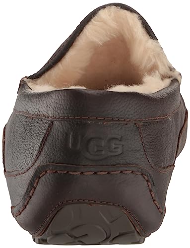 UGG Men's Ascot Discontinued Slipper, Dark Spice, 10