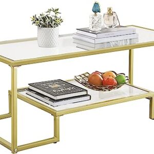 Alohappy Glass Coffee Table Modern Rectangular Coffee Table with 2-Tier Storage Shelf and Sturdy Metal Frame Center Table Easy Assembly for Living Room