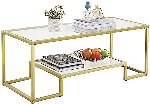 Alohappy Glass Coffee Table Modern Rectangular Coffee Table with 2-Tier Storage Shelf and Sturdy Metal Frame Center Table Easy Assembly for Living Room