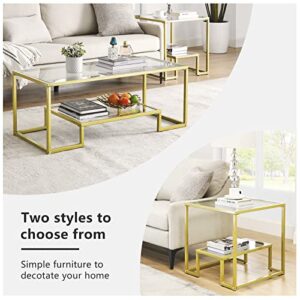 Alohappy Glass Coffee Table Modern Rectangular Coffee Table with 2-Tier Storage Shelf and Sturdy Metal Frame Center Table Easy Assembly for Living Room