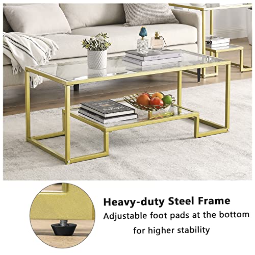 Alohappy Glass Coffee Table Modern Rectangular Coffee Table with 2-Tier Storage Shelf and Sturdy Metal Frame Center Table Easy Assembly for Living Room