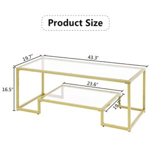 Alohappy Glass Coffee Table Modern Rectangular Coffee Table with 2-Tier Storage Shelf and Sturdy Metal Frame Center Table Easy Assembly for Living Room