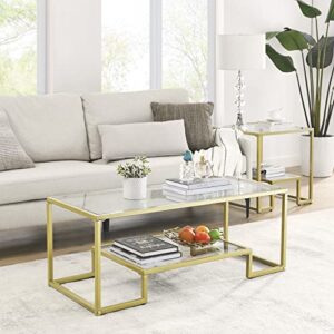 Alohappy Glass Coffee Table Modern Rectangular Coffee Table with 2-Tier Storage Shelf and Sturdy Metal Frame Center Table Easy Assembly for Living Room