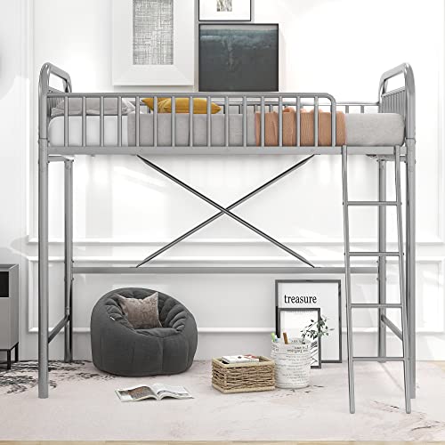 Merax Twin Size Metal Loft Bed, No Box Spring Needed, Silver