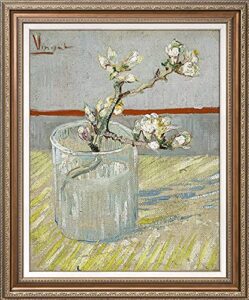 dimensean stamped cross stitch kits full range of embroidery patterns starter kits for beginners adult or kids diy cross stitches needlepoint kits 11ct-apricot flower in van gogh cup 15.7x19.7 inch