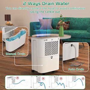 Dehumidifier 2500 Sq.Ft 30 Pint, Dehumidifiers with Drain Hose, 0.66 Gallon Water Tank, Energy Star Certified, RUWORA Dehumidifiers for Home Basement Bedroom Bathroom, Overflow Protection, 24H Timer