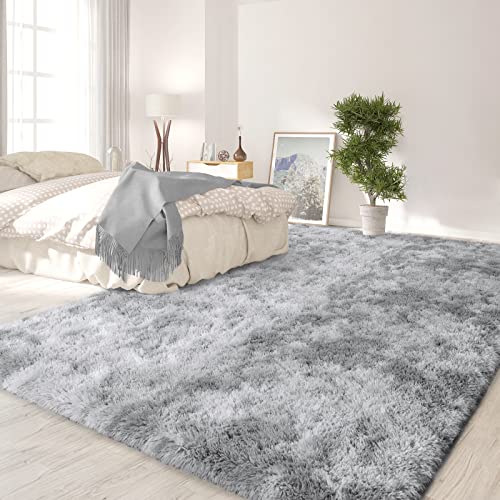 FlyDOIT Large Area Rugs for Living Room, 4x6 Feet Tie-Dyed Light Grey Shaggy Rug Fluffy Throw Carpets, Ultra Soft Plush Modern Indoor Fuzzy Rugs for Bedroom Girls Kids Nursery Room Dorm Home Decor