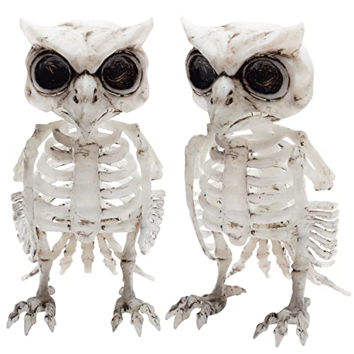SCS Direct Owl Halloween Skeleton (2 Pack)-6.5" Long Weather Resistant Yard Fall Decorations-Graveyard Prop for Haunted House Party Decor and Indoor/Outdoor Use, School Classroom Decoration