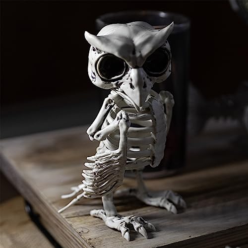 SCS Direct Owl Halloween Skeleton (2 Pack)-6.5" Long Weather Resistant Yard Fall Decorations-Graveyard Prop for Haunted House Party Decor and Indoor/Outdoor Use, School Classroom Decoration