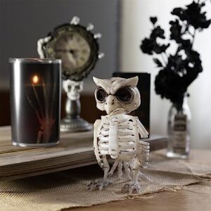 SCS Direct Owl Halloween Skeleton (2 Pack)-6.5" Long Weather Resistant Yard Fall Decorations-Graveyard Prop for Haunted House Party Decor and Indoor/Outdoor Use, School Classroom Decoration