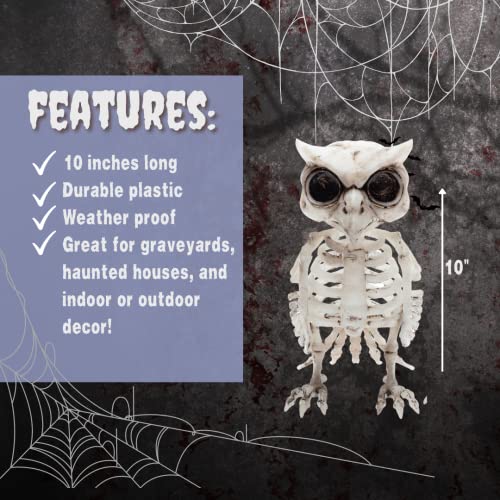 SCS Direct Owl Halloween Skeleton (2 Pack)-6.5" Long Weather Resistant Yard Fall Decorations-Graveyard Prop for Haunted House Party Decor and Indoor/Outdoor Use, School Classroom Decoration