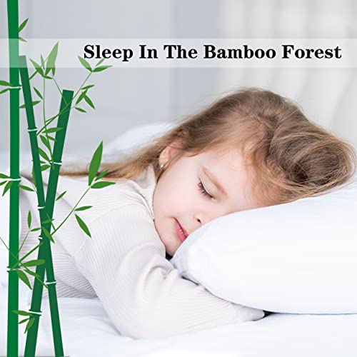 DREAMHOUR Bamboo Fiber Comforter Queen Size,Black Ultra Soft Breathable Plush Duvet Insert All Season Machine Washable,8 Corner Tabs 90X90 Inches