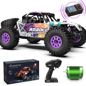 riaario 1:12 rtr brushless rc desert cars for adults, max 45mph fast rc cars, monster truck with independent esc, 4x4 rc truck for boys, all terrain remote control car with oil filled shocks(purple)