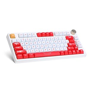 vkproey pbt keycaps set 137key xda profile, dye-sublimation, customized keycaps with puller for mechanical gaming keyboard, compatible with gateron mx switches, fits 96/98/104/108 major-sizes