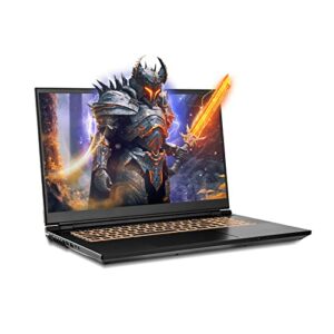 sager 2023 np8875d gaming laptop, 17.3 inch uhd 144hz 100% dci-p3 g-sync, intel i9-13900hx, rtx 4060 8gb, 32gb ram, 2tb gen4 nvme ssd, win 11