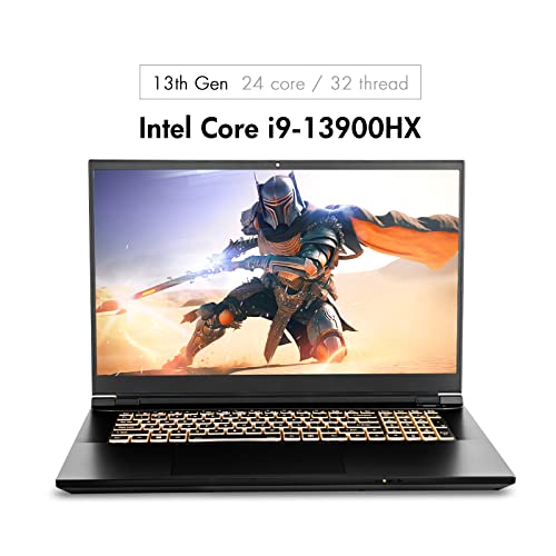 Sager 2023 NP8875D Gaming Laptop, 17.3 Inch UHD 144Hz 100% DCI-P3 G-Sync, Intel i9-13900HX, RTX 4060 8GB, 32GB RAM, 2TB Gen4 NVMe SSD, Win 11