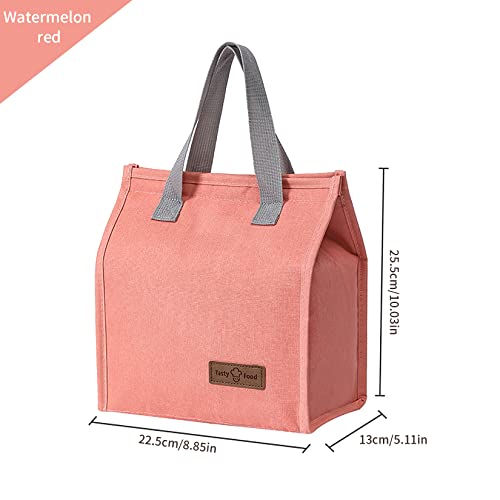 Lunch Bag Insulated, Lunch Box Bag, Reusable Lunch Tote Bag, Lunch Box Container Bag Insulated for Women, Men, Work, Office, Travel - Pink