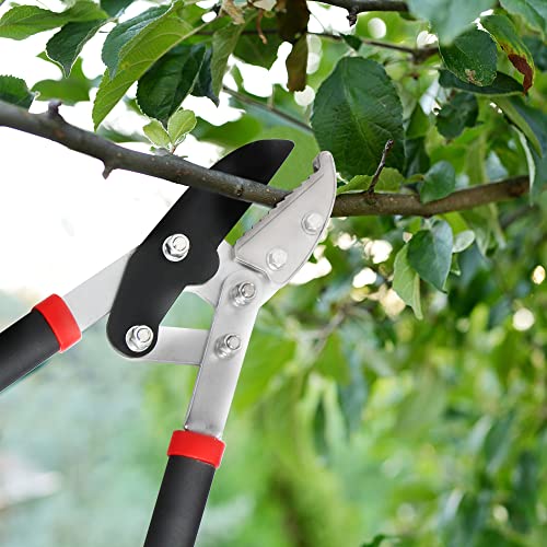 GARTOL Anvil Lopper with Compound Action 30 Inch Heavy Duty Tree Branch Cutter, 2 inch Cutting Capacity Tree Trimmer for Thick Branches Clean Cut Easy, Ergonomically Non-Slip Comfortable Handle