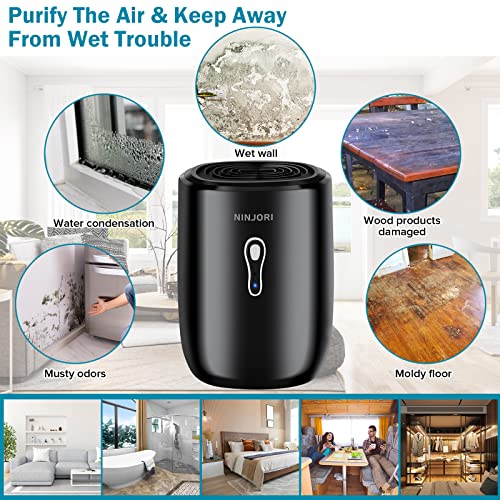 Dehumidifiers for Home,27 OZ Auto Shut off Dehumidifiers with Drain Hose,Mini Ultra Quiet Small Dehumidifiers Portable Dehumidifiers for Bedroom,Basement,Bathroom,Closet,RV,Caravan,Garage (black)