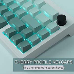 JOMKIZ PBT keycaps, 135 Keys Double Shot Keycaps Side Engraved Transparent Keycap Set Cherry Profile Backlit Keycaps for Cherry MX Switch ASIN/ISO Layout Mechanical Keyboard