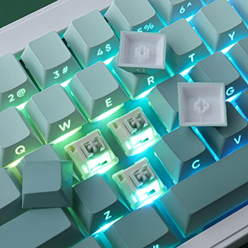 JOMKIZ PBT keycaps, 135 Keys Double Shot Keycaps Side Engraved Transparent Keycap Set Cherry Profile Backlit Keycaps for Cherry MX Switch ASIN/ISO Layout Mechanical Keyboard