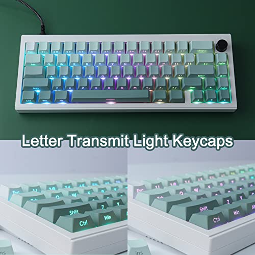 JOMKIZ PBT keycaps, 135 Keys Double Shot Keycaps Side Engraved Transparent Keycap Set Cherry Profile Backlit Keycaps for Cherry MX Switch ASIN/ISO Layout Mechanical Keyboard