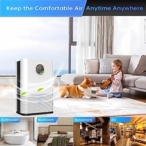 PTHRAOUTA dehumidifier for basement bathroom RV home closet indoor indoor 33.8 oz water tank（800 sq.ft） small dehumidifiers safe mini drainage auto-off odor removal 2 duak-core portable dehumidifier 5 colorful lights remove moisture quite silent car deh