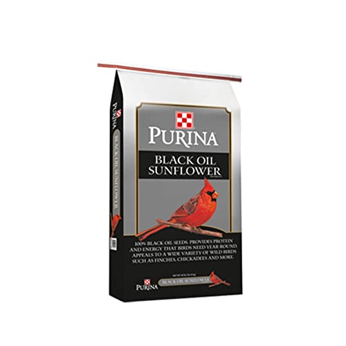 Purina | Black Oil Sunflower Wild Bird Seed | 40 Pound Bag