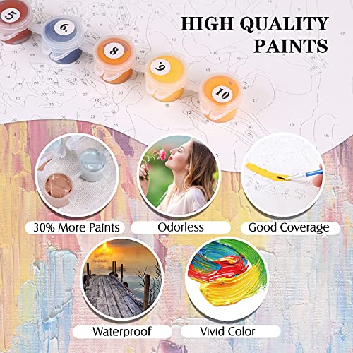 Eterkosu Daisy Flowers Paint by Numbers for Adults - DIY Adult Paint by Number Kits Pack On Canvas Painting by Numbers for Beginners,Acrylic Paint Crafts for Home Decor 16x20 Inch